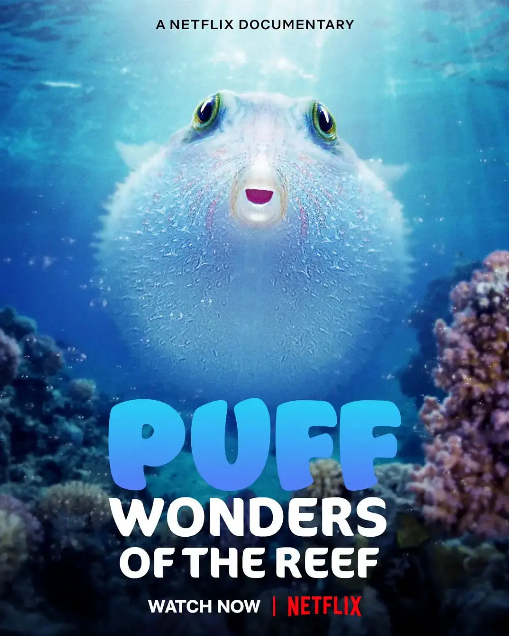 《河豚之家：神奇的珊瑚礁》：探索迷人水下世界，感受自然奇观与生命活力！