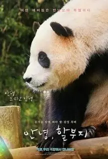 《再见，福宝》：催泪告别！熊猫宝宝回国，背后的爱与不舍！