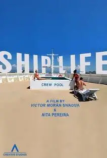 《邮轮生活》：一场啼笑皆非的爱情疗愈之旅，在海上重新找回自我与真爱！