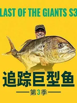 抓不到的巨兽，看得我魂飞魄散！《追踪巨型鱼 第三季》全是硬核操作！