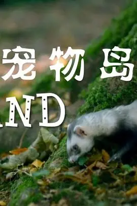 《宠物岛》：一场关于爱与救赎的奇幻漂流，揭示人与动物间深刻羁绊的感人童话